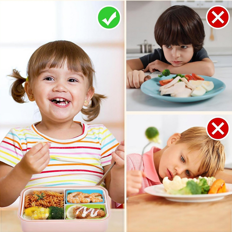 8 Buah Pembagi Kotak Makan Sia - Food Storage Heat ulasan dan harga