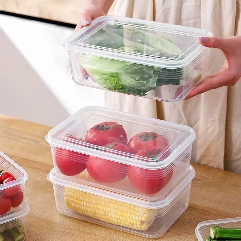 Kotak Penyimpanan Kulkas untuk - Food Storage Plastic Boxes ulasan dan harga