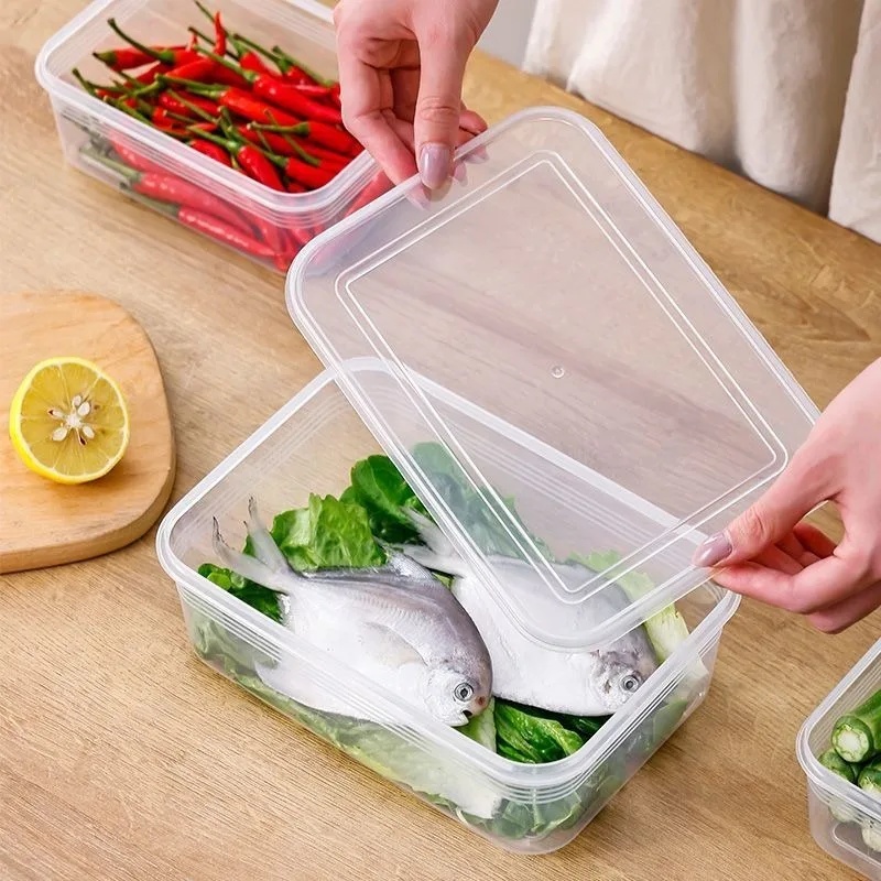 Kotak Penyimpanan Kulkas untuk - Food Storage Plastic Boxes ulasan dan harga